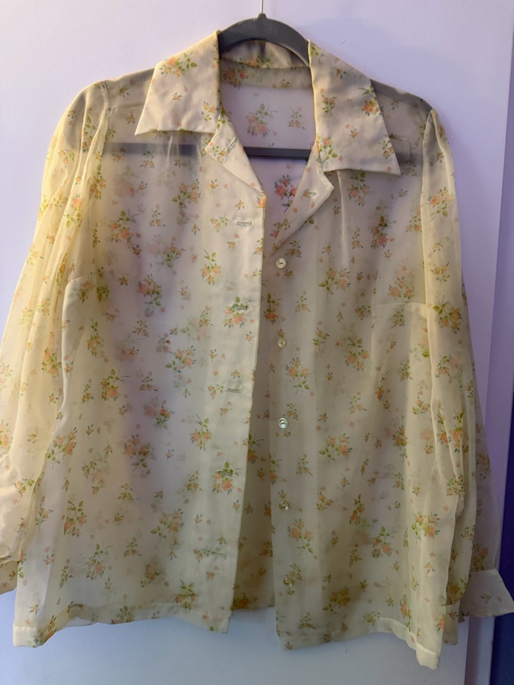 Vintage Sheer Floral Button-Up Blouse in Pale Yellow